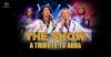 Koncert The Show a tribute to ABBA
